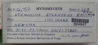 Image Associated With the Occurence